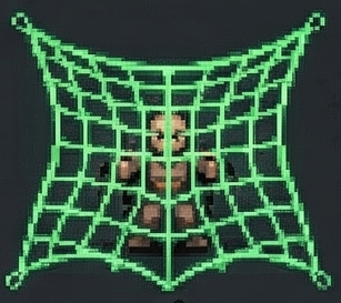 Síť